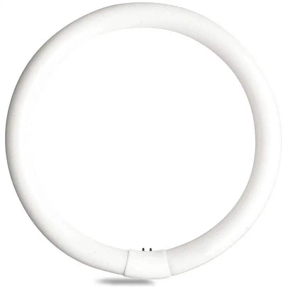 Lampes fluorescentes circulaires
