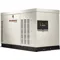 Auto Standby Generator 30 LP/30 NGkW