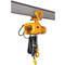 Electric Chain Hoist 1000 Lb. 10 Feet