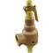 Safety Relief Valve 2 x 2-1/2 Inch 50 Psi