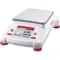 Precision Balance Scale 13-15/16 inch Width