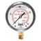 Gauge Pressure 2-1/2 Inch 0 to 400 psi