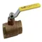 Ball Valve, 2-1/2 Inch NPT, Bronze