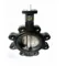 Butterfly Valve, With Lug, Size 6 Inch, Ductile Iron