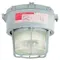 High Pressure Sodium Light Fixture