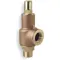 Adjustable Relief Valve 2 Inch 75 Psi Bronze