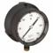 Process Pressure Gauge, 0 To 300 Psi, White, 4 1/2 Inch DiaL, Liquid-Filled