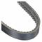 Banded Cogged V-Belt, 2 Ribs, 55 Inch Outside Length, 1 21/64 Inch Top Width