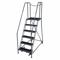 Rolling Ladder, 60 Inch Platform Height, 10 Inch Platform Dp, 24 Inch Platform Width
