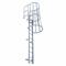 Fixed Ladder with Safety Cage, 10 ft 11 Inch, 7 ft Top Step Height, 8 Steps