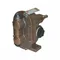 Rotary Gear Pump Head 1/4 Inch 1/4 Hp