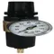 Filter Regulator, Mini, With Auto Drain, Metal Bowl, 1/8 Inch Size