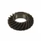 Spiral Bevel Gear