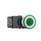 Non-Metallic Heavy-Duty Pushbutton, 22.5 mm, Standard Actuator, Green, Metal, Illuminated