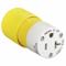 Straight Blade Connector, 5-20R, 20 A, 125VAC, 2 Poles, Yellow, Screw Terminals
