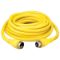 Temporary Power Cord, 50 A, 125 - 250 V, Yellow