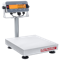 Bench Scale, 75kg Capacity, 0.01kg Readability, 14 x 12 Inch Pan Size, 120V, 60Hz