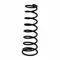 Throttle Valve Spring