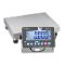 Industrial Balance, 3 And 6Kg Max. Weighing, 1 And 2g Readability