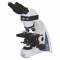 Epifluorescence Microscope, Epifluorescence Microscope