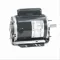 General Purpose Motor, 0.75 HP, 1 Phase, 60 Hz, 115/230V, 1800 RPM