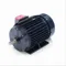 General Purpose Motor, 2 HP, 3 Phase, 60/50 Hz, 230/460 and 190/380V, 1800 and 1500 RPM