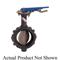 Wafer Style Butterfly Valve, 2-1/2 Inch Valve Size, Ductile Iron