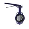 Wafer Style Butterfly Valve, 2-1/2 Inch Valve Size, 125 lb, Cast Iron