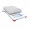 Bench Scale, 2, 200 g Wt Capacity, 5 5/8 Inch Weighing Surface Dp