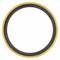 Flange Gasket, 2 1/2 Inch Pipe Size, 4 7/8 Inch Outside Dia, 3 1/4 Inch Inside Dia