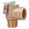 Steam Safety Relief Valve 2-13/16 inch