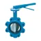 Domestic Lug Butterfly Valve, 289 In. Lbs. Torque, 2 1/2 Inch Inlet