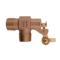 Float Valve 1 Inch Bronze Pipe Mount