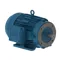 General Purpose Motor, 3-phase Tefc 10 Hp, 1765 Rpm 215tc