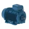 Electric Motor, 60Hp, 50/60Hz, 3000 Rpm