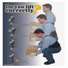 Do You Lift Correctly Safety Poster, 22 pouces x 17 pouces