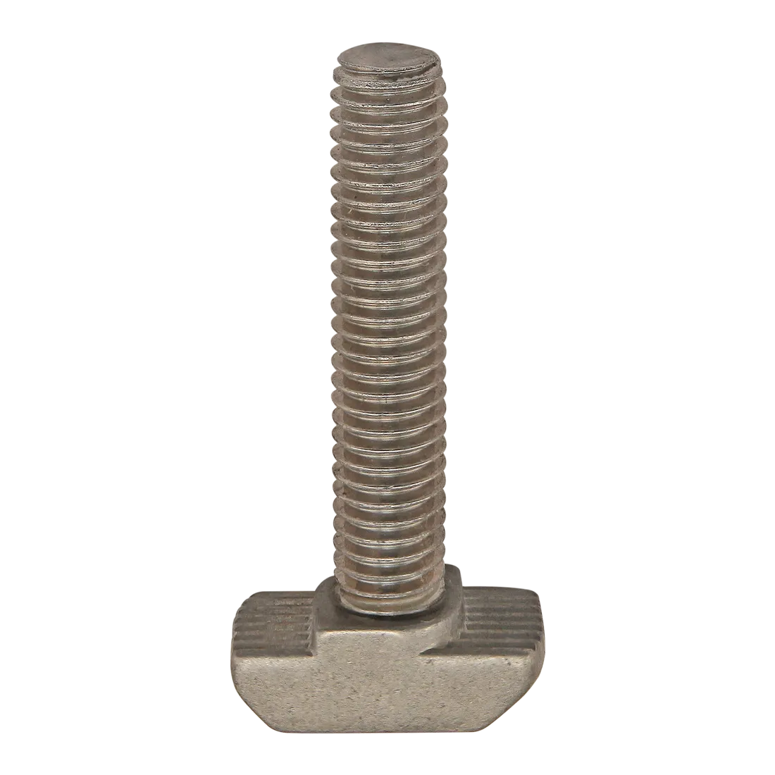 80/20 13139 80/20 13139 | CV8QLD