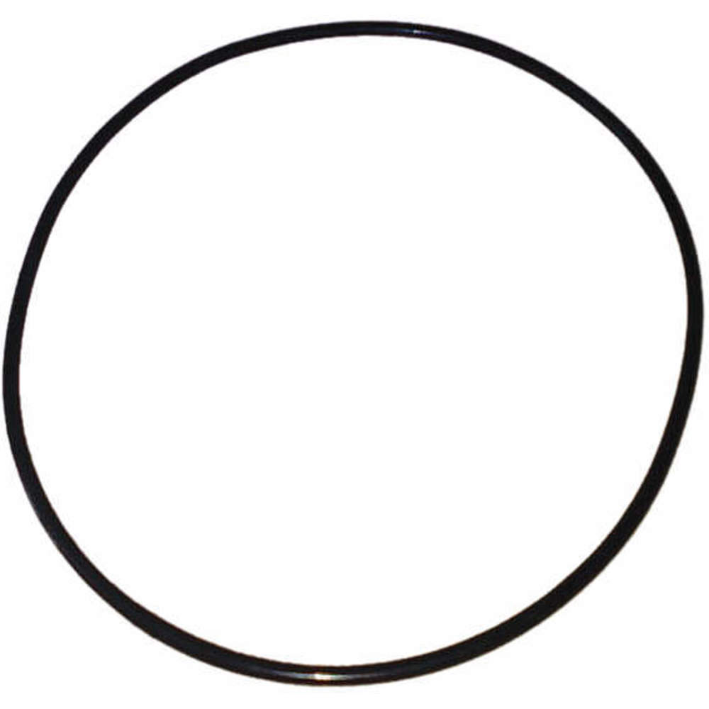 DAYTON PP21101530001G Stainless Steel Pump O-Ring | AG9XQJ 23CC37