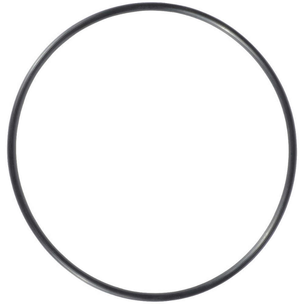 DAYTON PPL3429G O-Ring Casing | AG9XHH 23AV40