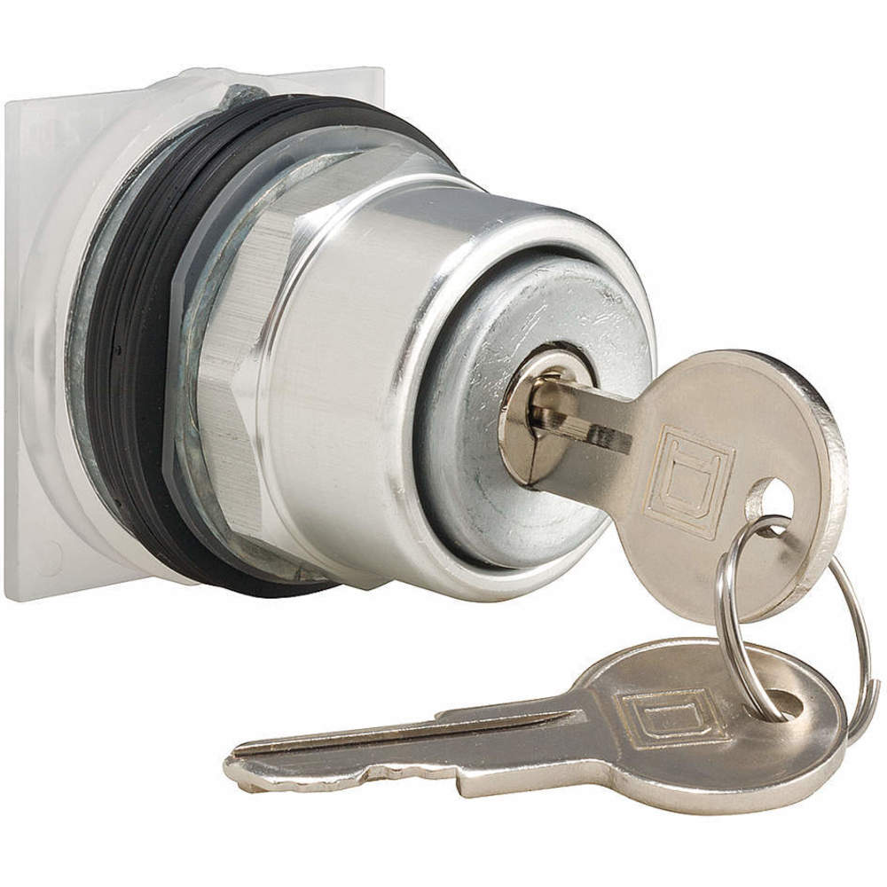 SCHNEIDER ELECTRIC 9001KR131