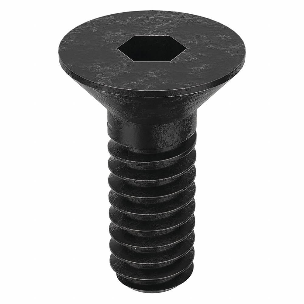 APPROVED VENDOR U07410.019.0043 Socket Cap Screw Flat 10-24 X 7/16, 100PK | AB8MKX 26KZ14