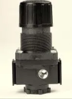 Arrow Pneumatics R352GLT Regulator, 1/4 NPT, 0-160 PSI Gauge, 3 to 60 PSI Pressure, Tee Handle | CJ6AMF