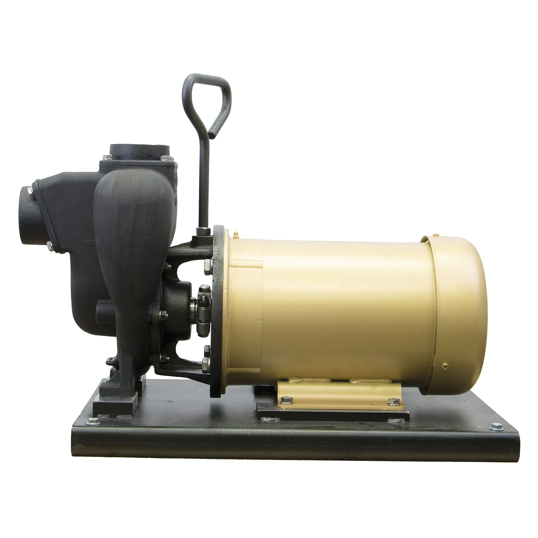 BANJO FITTINGS 234PIE51 Cast Iron Close Coupled Electric Driven Pump, 5 HP, 3450Rpm, 1Phs, 2 Inch Size | BX2FHB