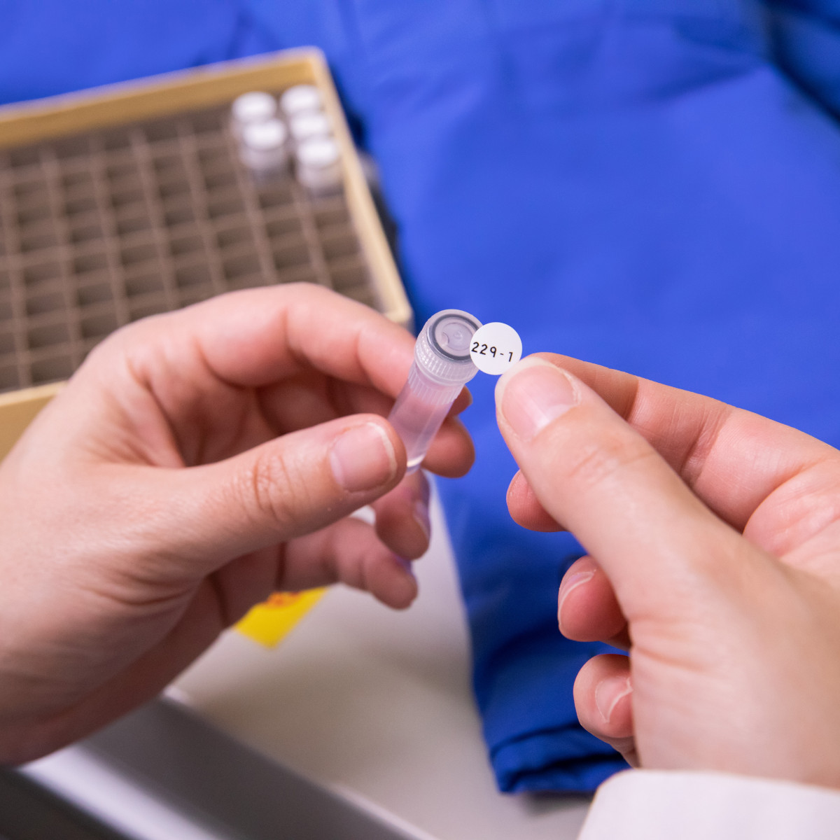 BRADY M6-83-492 Label, Circle, 1/2 Inch Size x 1/2 in, Polyester, White, 1.0 to 2.0 ml Vial/Tube Size | CR8PDW 803TJ4