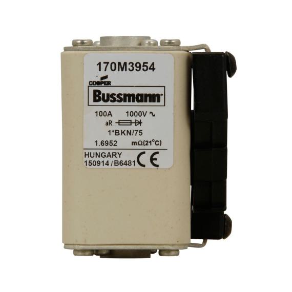 BUSSMANN 170M3954