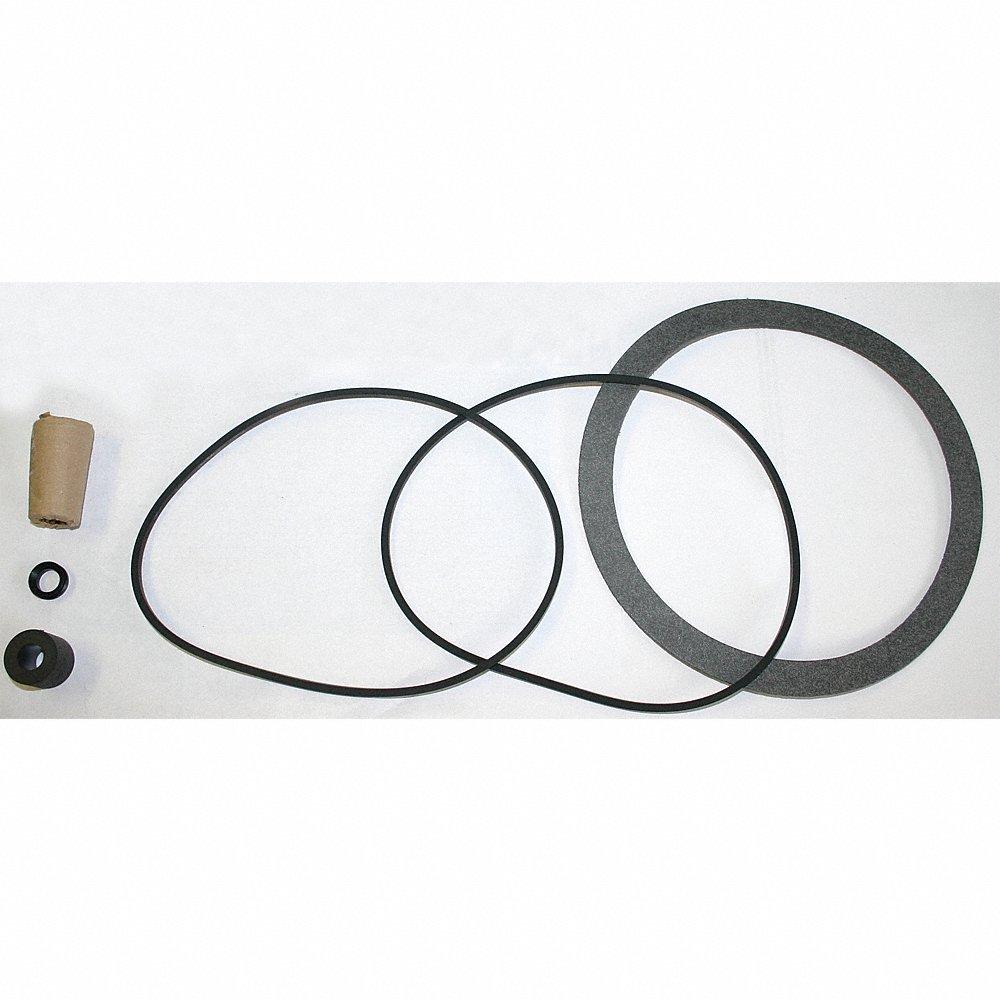 DAYTON 42X491 Shaft Seal Kit | CJ3HPV