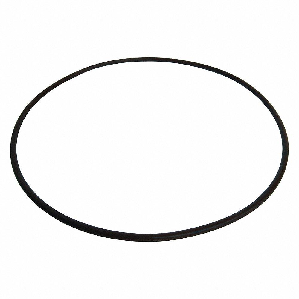 DAYTON PP21101575001G O Ring | CJ2YUB 43GW44