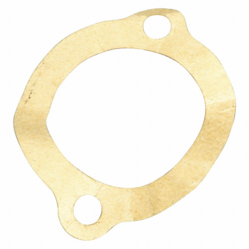 DAYTON PP810010G Gasket | AD6NQK 46L439