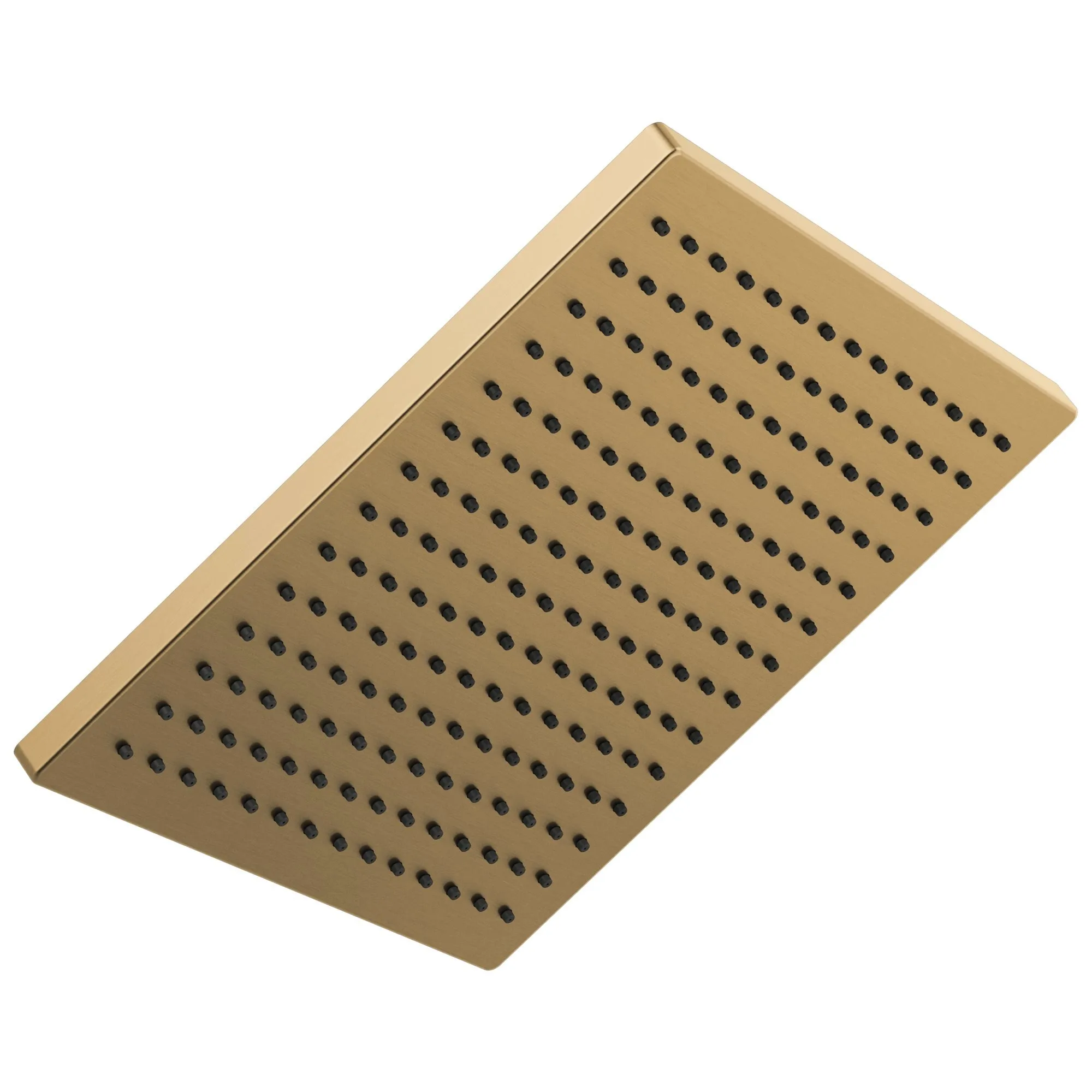 Universal Showering Components Single-Setting Metal Raincan Shower Head