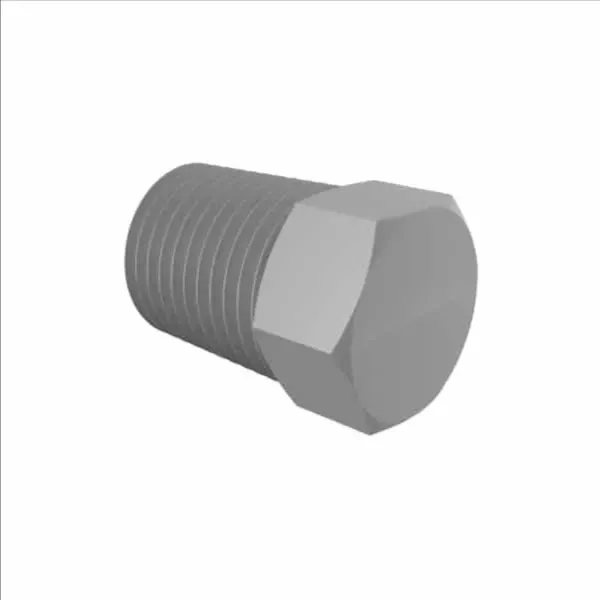 ELDON JAMES P4BPVDF Threaded Hex Plug, 1/4-19 BSP Size | CJ8JFE
